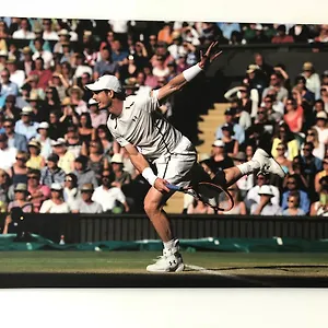 Tennisweber בית הארחה